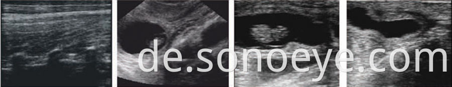 pet ultrasound